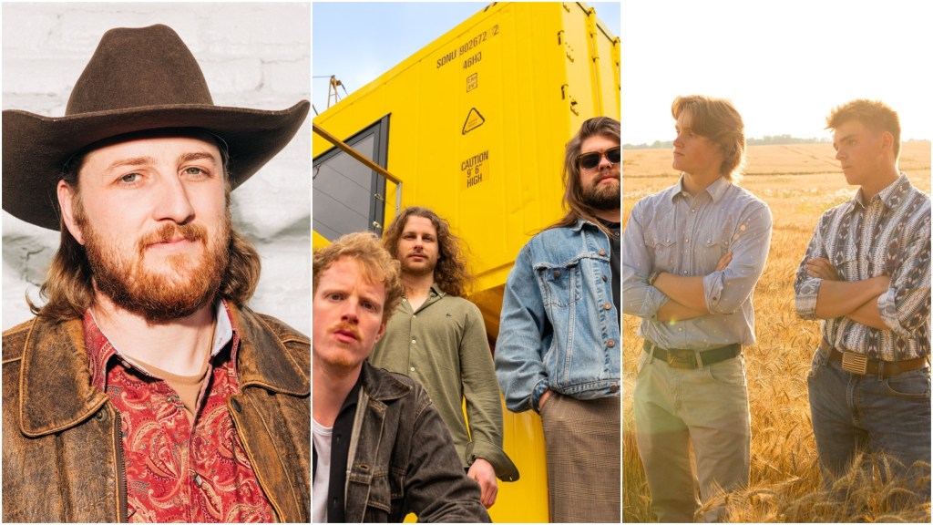 Fried Coyote tipt nieuwe muziek (85): Devyn Brinsfield, Wildman, Low Gap (en&nbsp;meer)