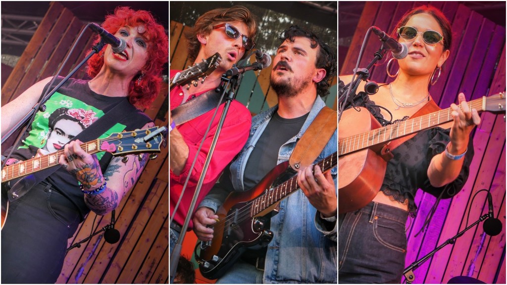 Plezier en vakmanschap staan voorop op Rotterdam Bluegrass Festival